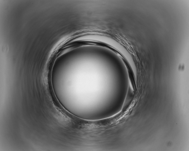 X0000099560197200805161501