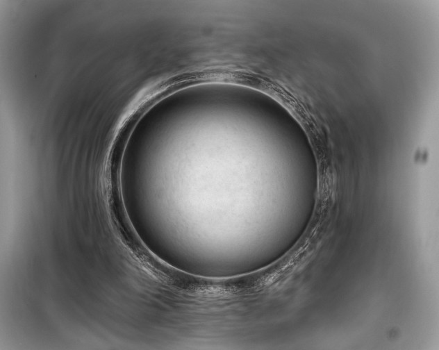 X0000099560198200805161501