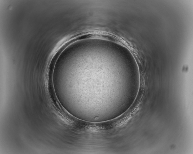 X0000099560199200805161501