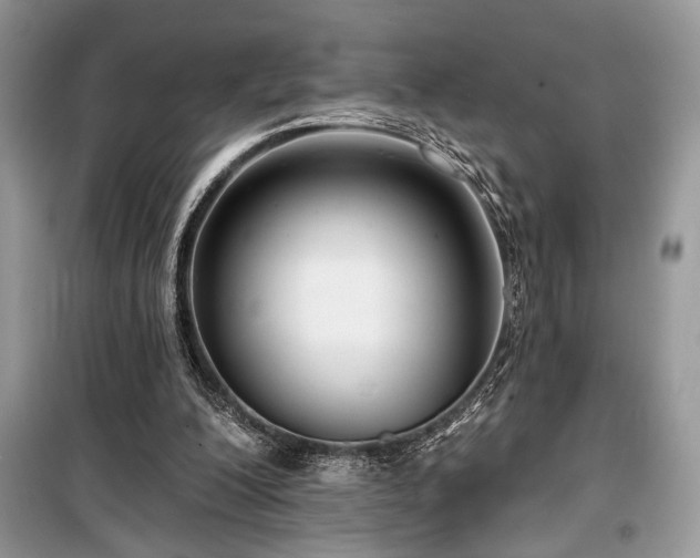 X0000099560200200805161501