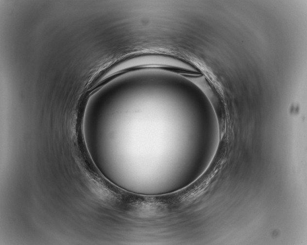 X0000099560201200805161501