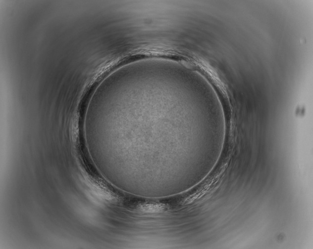 X0000099560202200805161501