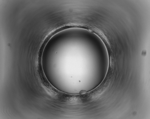 X0000099560204200805161501