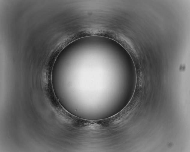 X0000099560210200805161501