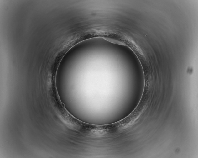 X0000099560213200805161501