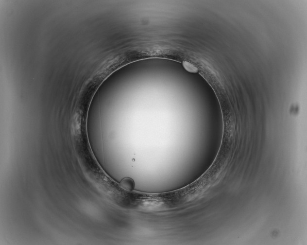 X0000099560214200805161501