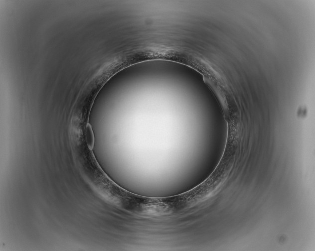 X0000099560215200805161501