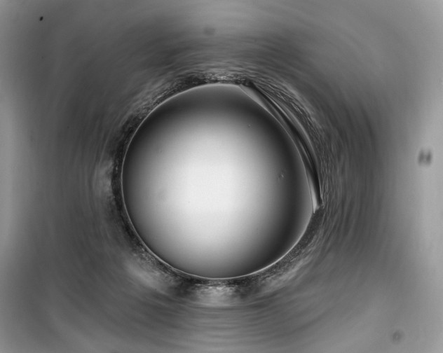 X0000099560217200805161501