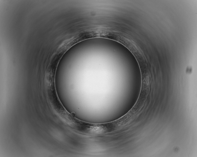 X0000099560218200805161501