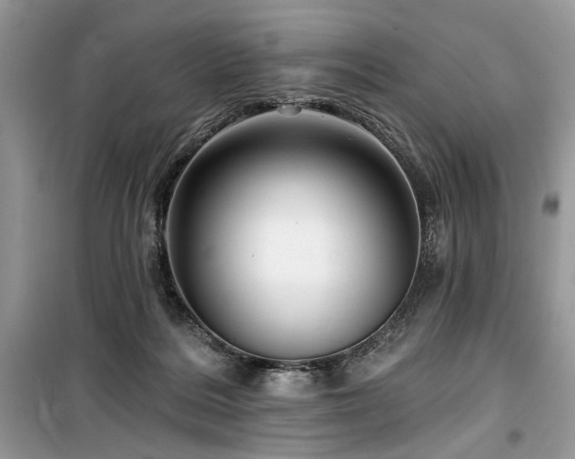 X0000099560220200805161501