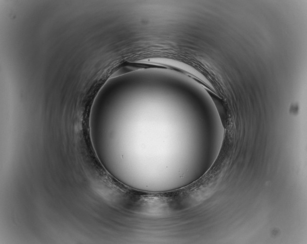 X0000099560221200805161501