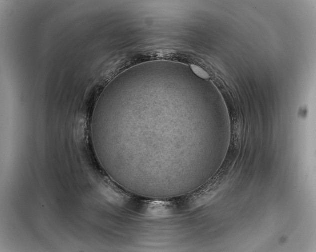 X0000099560222200805161501