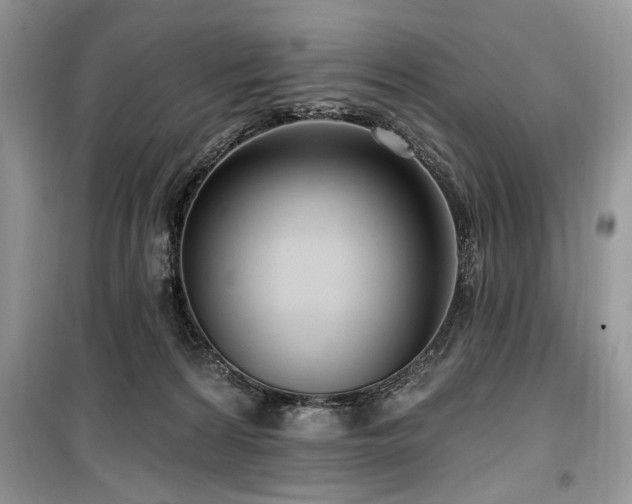 X0000099560224200805161500