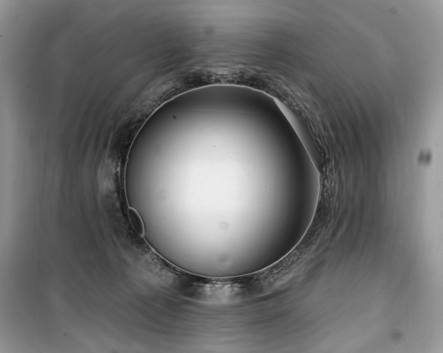 X0000099560225200805161500