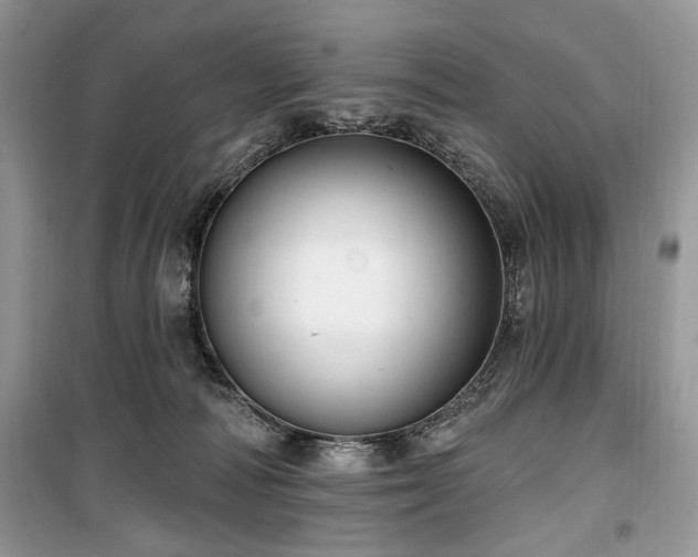 X0000099560226200805161500