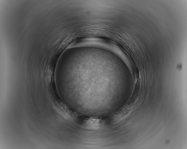 X0000099560227200805161500