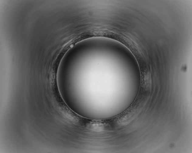 X0000099560228200805161500