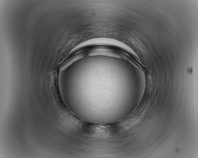 X0000099560229200805161500