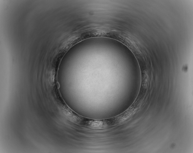 X0000099560230200805161500