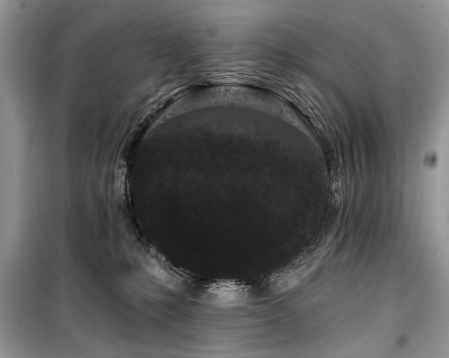 X0000099560231200805161500