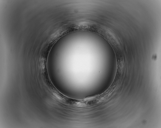 X0000099560232200805161500