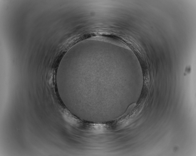 X0000099560233200805161500