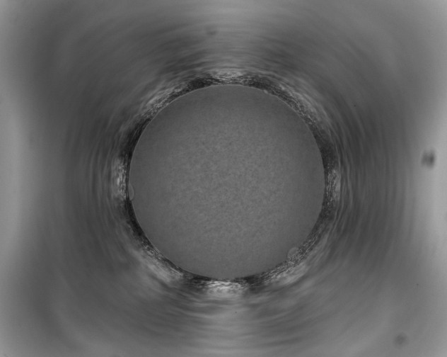 X0000099560234200805161500