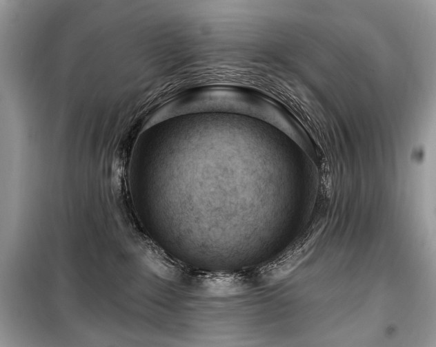 X0000099560235200805161500