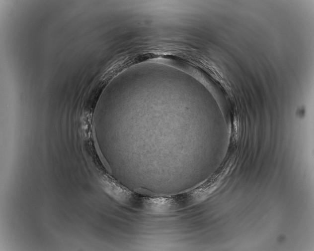 X0000099560237200805161500