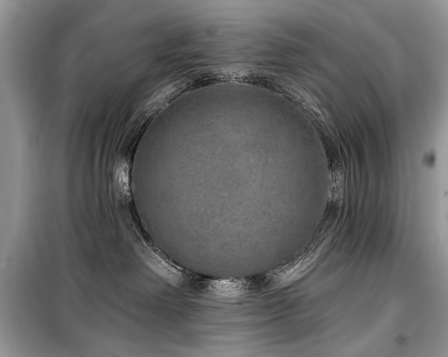 X0000099560238200805161500