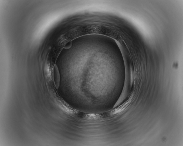 X0000099560239200805161500