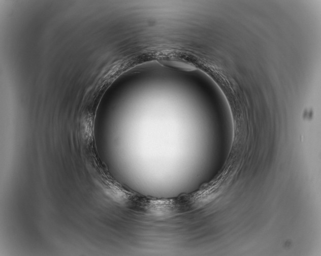 X0000099560240200805161500