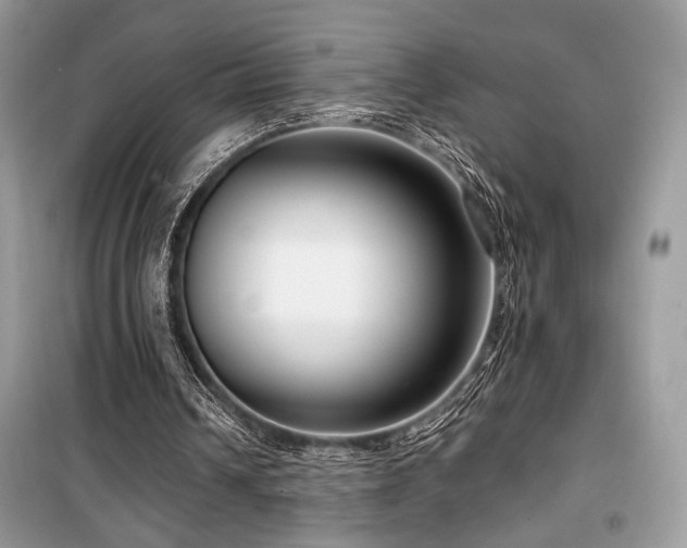 X0000099560242200805161459