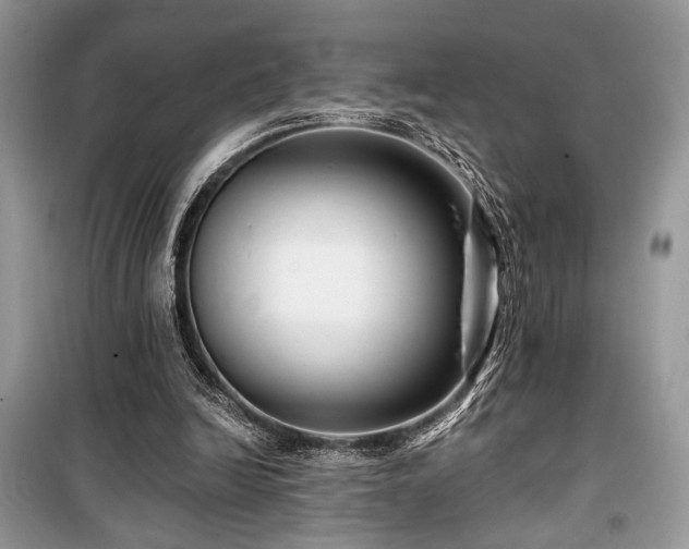 X0000099560246200805161459