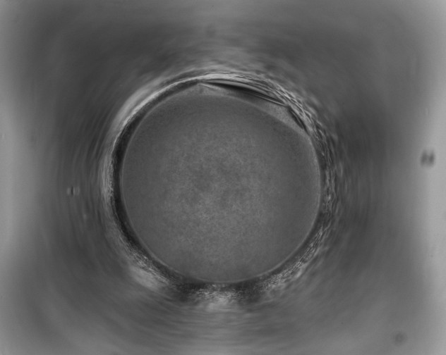 X0000099560247200805161500