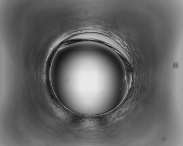 X0000099560248200805161500