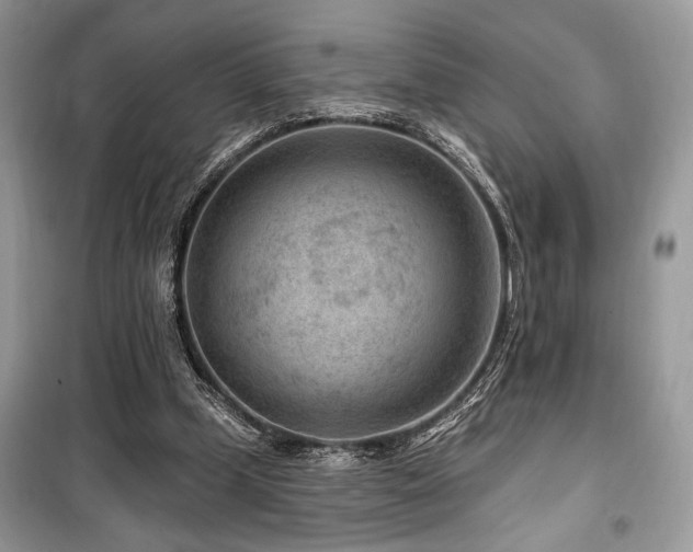 X0000099560249200805161500