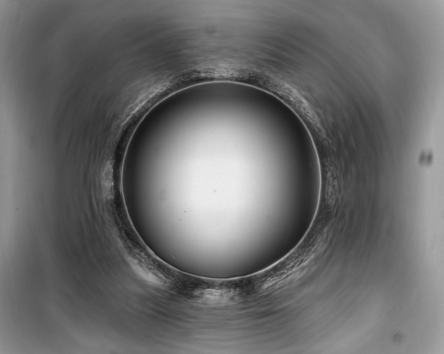 X0000099560251200805161500