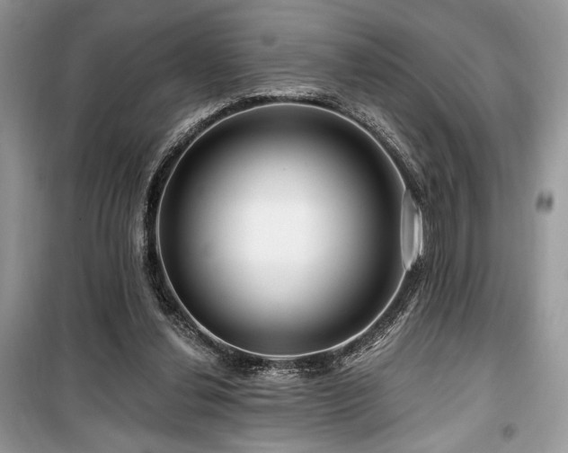 X0000099560252200805161500