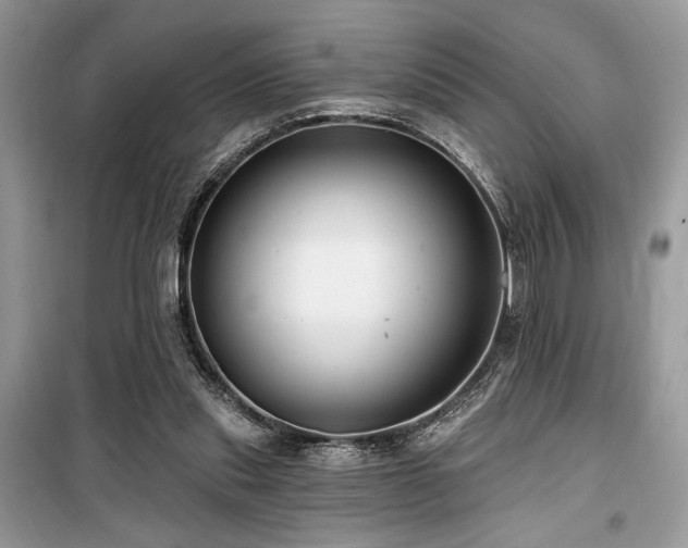 X0000099560253200805161500