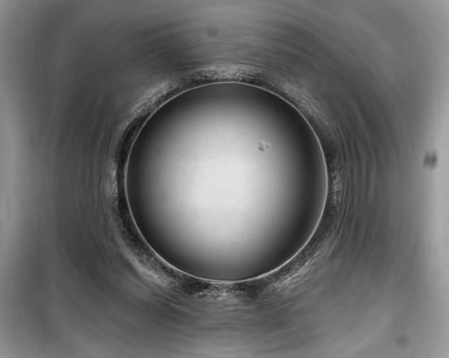 X0000099560254200805161500