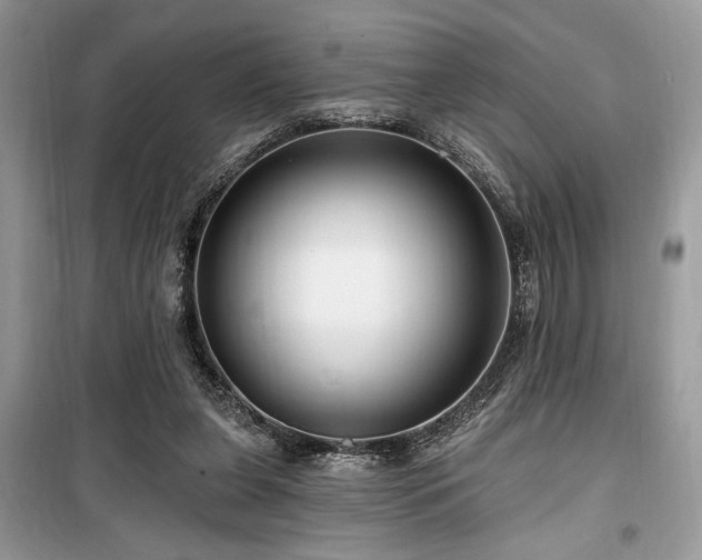 X0000099560255200805161500