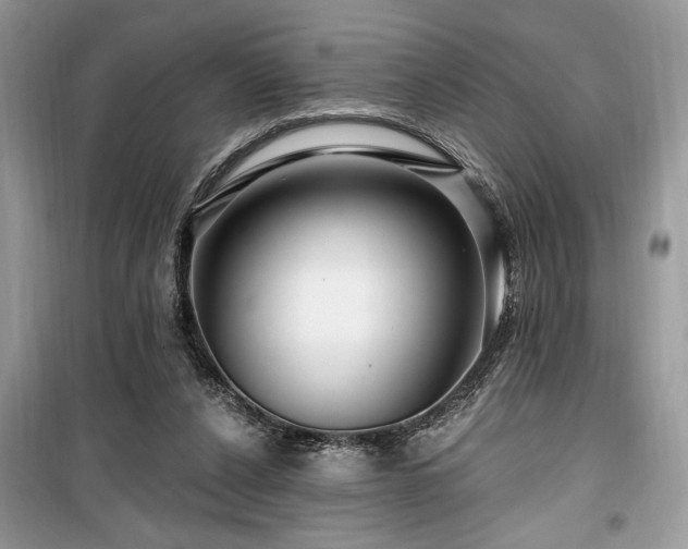 X0000099560256200805161500