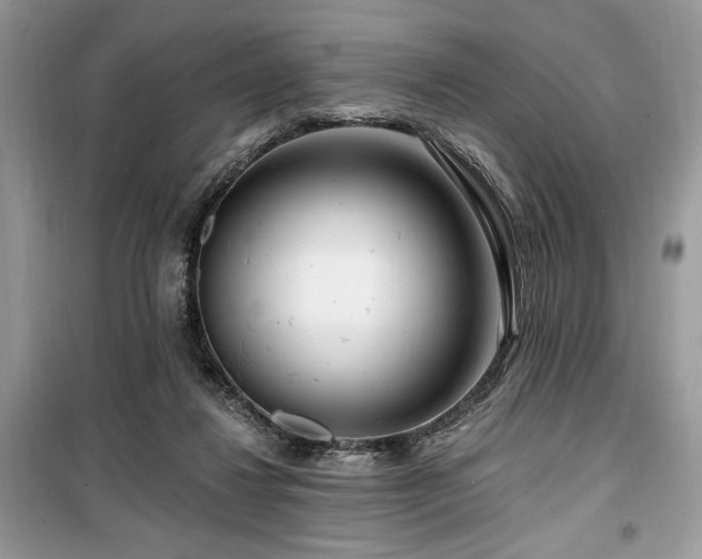 X0000099560260200805161500