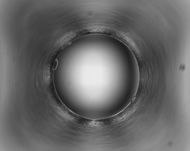 X0000099560261200805161500