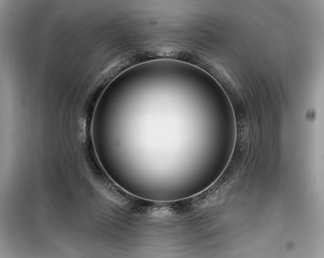 X0000099560262200805161500