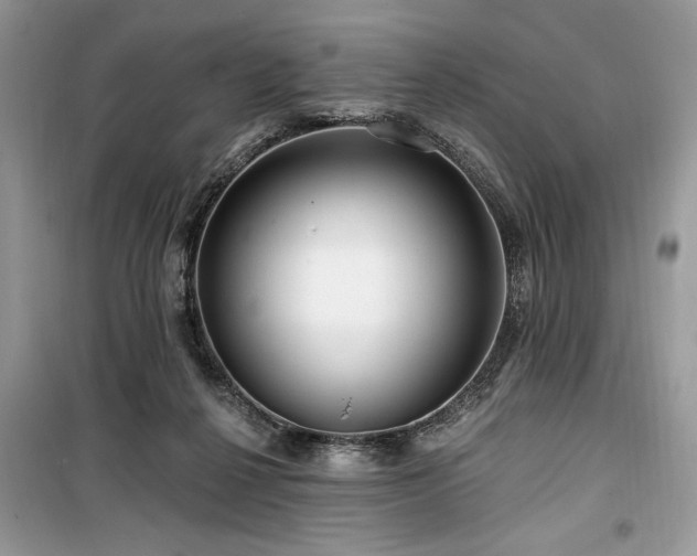 X0000099560264200805161500