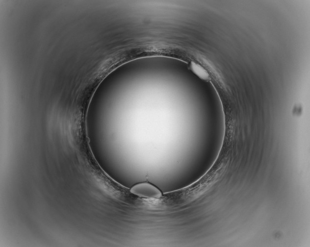 X0000099560265200805161500