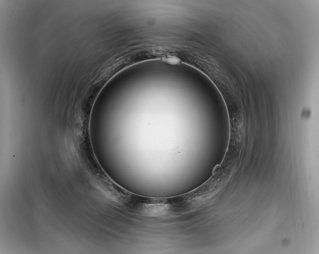 X0000099560266200805161500