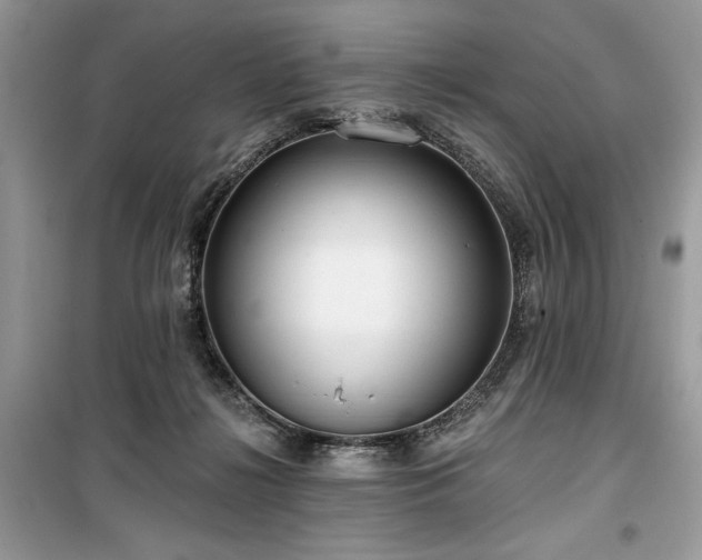 X0000099560268200805161500